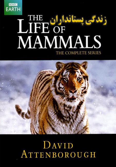 دانلود مستند زندگی پستانداران دوبله فارسی The Life of Mammals