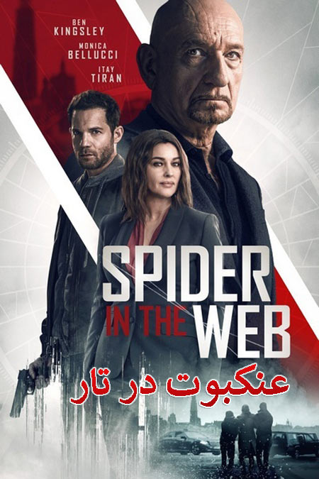 دانلود فیلم عنکبوت در تار دوبله فارسی Spider in the Web 2019