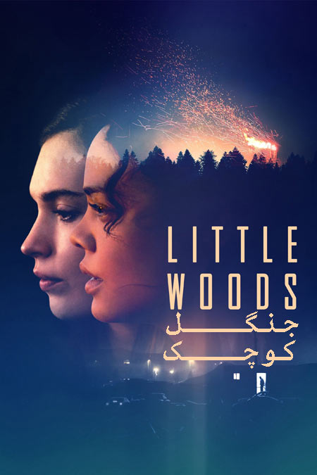 دانلود فیلم جنگل کوچک دوبله فارسی Little Woods 2018