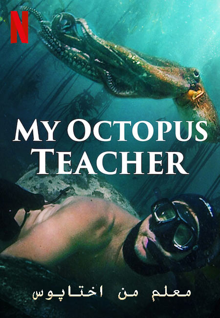 دانلود مستند معلم من اختاپوس دوبله فارسی My Octopus Teacher 2020