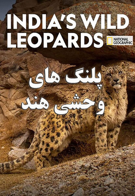 دانلود مستند پلنگ های وحشی هند India’s Wild Leopards 2020