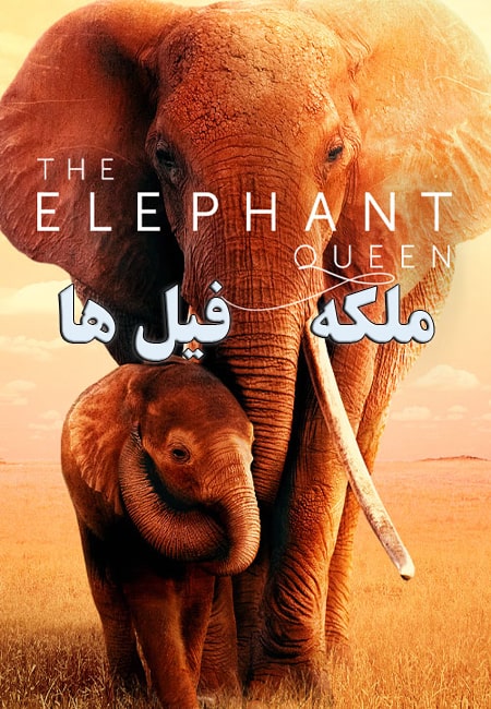 دانلود مستند ملکه فیل ها دوبله فارسی The Elephant Queen 2018