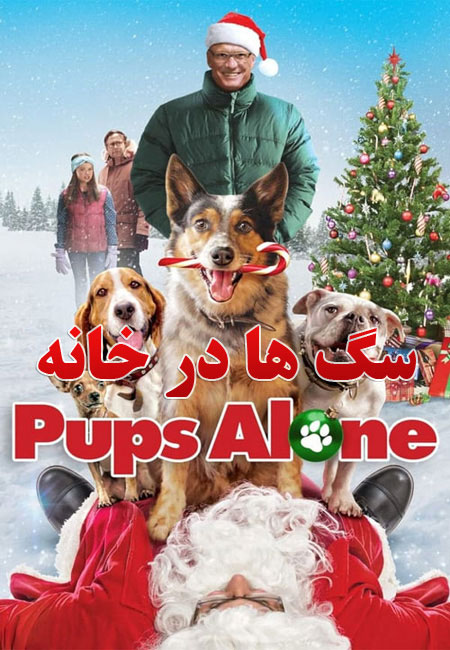 دانلود فیلم سگ ها در خانه دوبله فارسی Pups Alone 2021