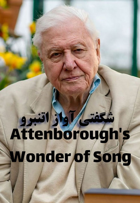دانلود مستند شگفتی آواز اتنبرو Attenborough’s Wonder of Song 2022