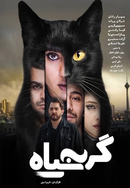 دانلود فیلم ایرانی گربه سیاه The Black Cat 2020