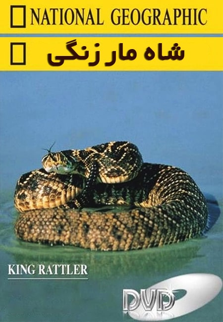 دانلود مستند شاه مار زنگی دوبله فارسی King Rattler 2004