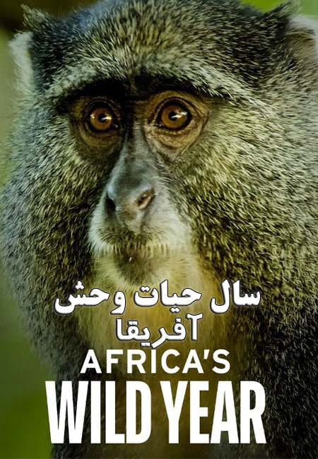 دانلود مستند سال حیات وحش آفریقا Africa’s Wild Year 2021