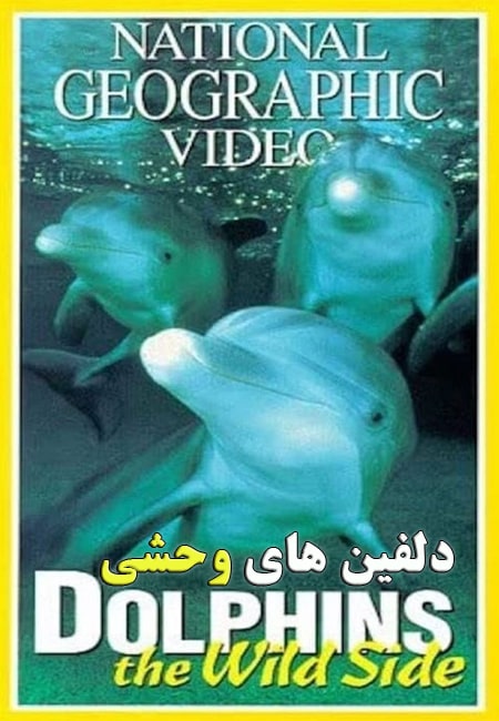 دانلود مستند دلفین های وحشی دوبله فارسی Dolphins: The Wild Side 1999