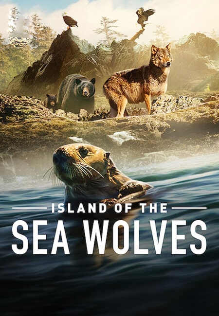 دانلود مستند جزیره گرگ های دریایی Island of the Sea Wolves 2022