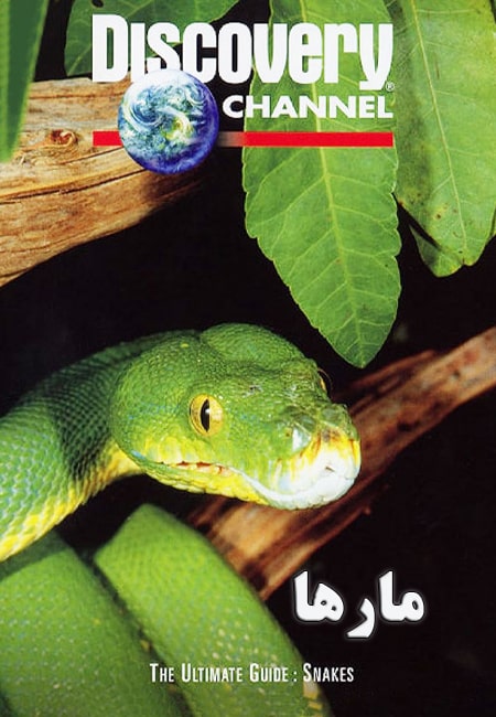دانلود مستند مارها دوبله فارسی The Ultimate Guide: Snakes 1997