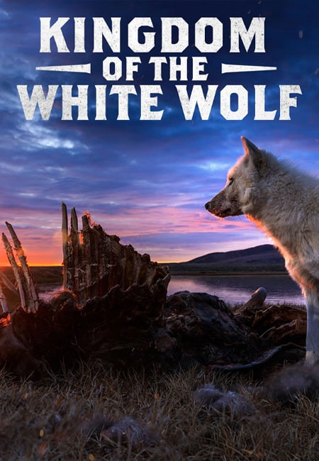 دانلود سریال قلمروی گرگ سفید دوبله فارسی Kingdom of the White Wolf 2019