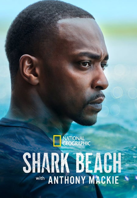 دانلود مستند ساحل کوسه با آنتونی مکی دوبله فارسی Shark Beach with Anthony Mackie 2024