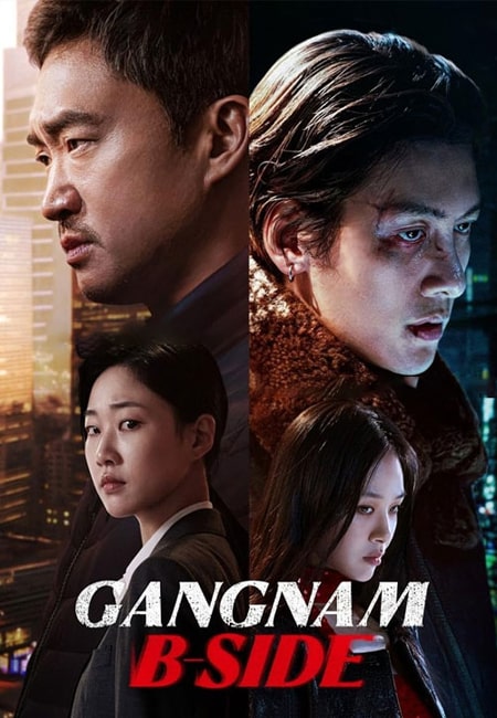 دانلود سریال روی دیگر گانگنام دوبله فارسی Gangnam B-Side 2024