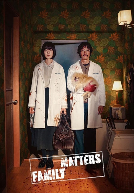 دانلود سریال نقشه خانوادگی دوبله فارسی Family Plan 2024