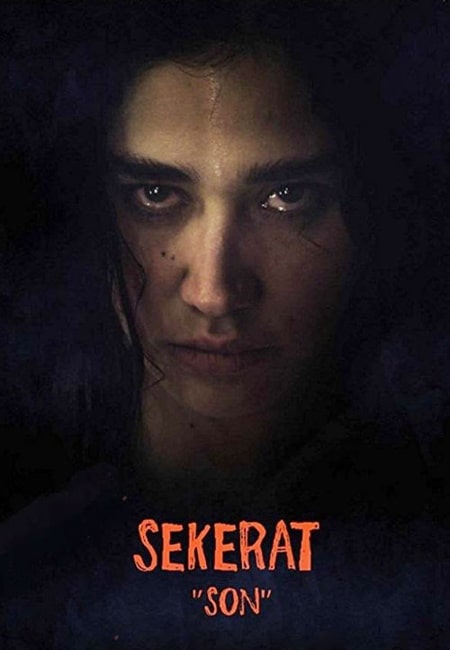 دانلود فیلم آخرین نقاشی دوبله فارسی Sekerat Son 2016