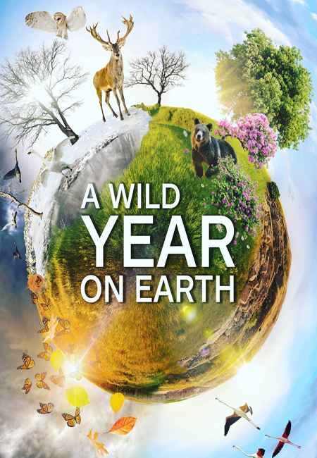 دانلود مستند سالی سخت روی زمین دوبله فارسی A Wild Year on Earth 2020