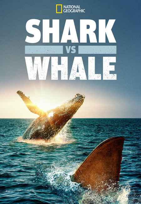 دانلود مستند کوسه در مقابل نهنگ Shark vs Whale 2020