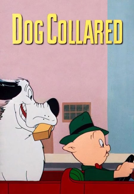 دانلود انیمیشن قلاده سگ Dog Collared 1950