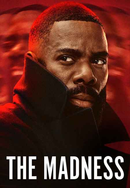 دانلود سریال جنون دوبله فارسی The Madness 2024