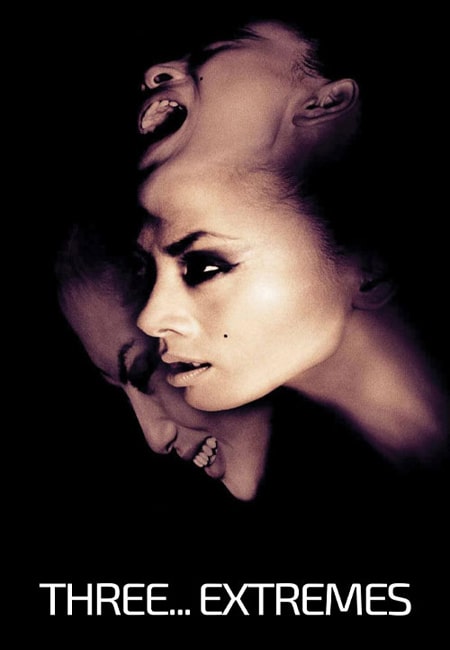 دانلود فیلم سه… بی‌نهایت Three Extremes 2004