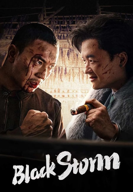 دانلود فیلم طوفان سیاه Black Storm 2024