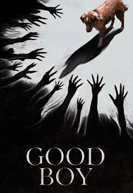دانلود فیلم پسر خوب دوبله فارسی Good Boy 2025