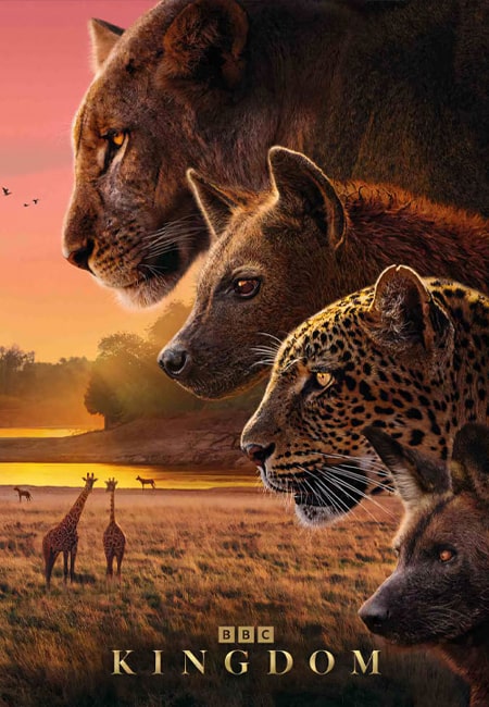 دانلود سریال پادشاهی Kingdom 2025 TV Series